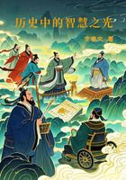 历史中的智慧之光在线阅读