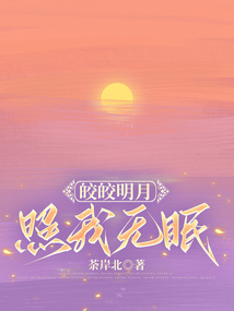 皎皎明月，照我無眠