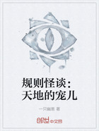 规则怪谈:天地的宠儿在线阅读