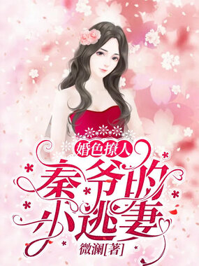 婚色撩人：秦爷的小逃妻在线阅读