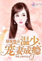 甜蜜爆擊：溫少，寵妻成癮在線閱讀