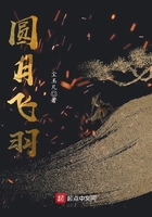 圓月飛羽在線閱讀