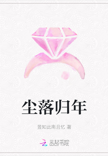 尘落归年