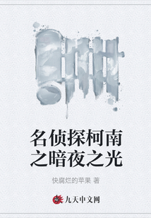 名侦探柯南之暗夜之光