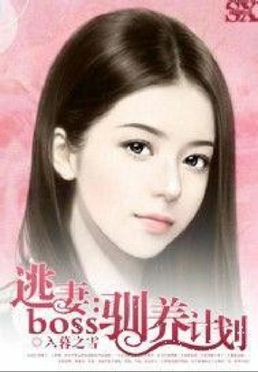 逃妻：boss驯养计划在线阅读