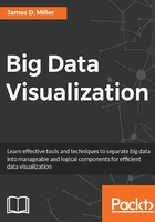 Big Data Visualization