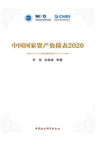 中国国家资产负债表2020