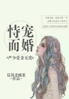 恃寵而婚：嚴少愛妻無度在線閱讀