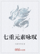 七重元素咏叹在线阅读