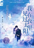 我在夜里见过太阳在线阅读