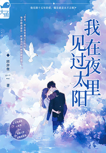 我在夜里見過太陽