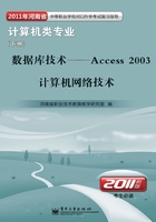 数据库技术：Access 2003计算机网络技术