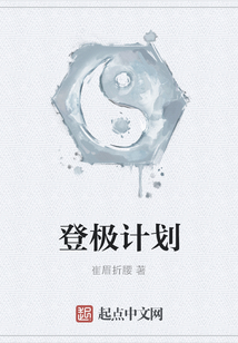 登极计划