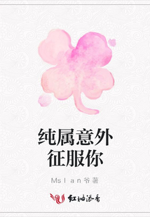 純屬意外征服你