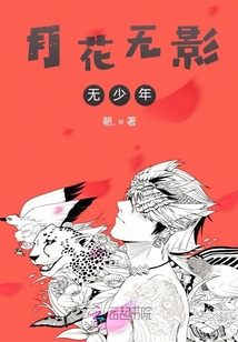 月花无影无少年