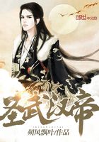 圣武漢帝在線閱讀