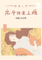 鲜妻入怀:九爷撩妻上瘾!