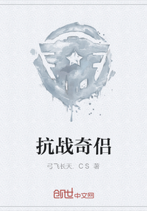 抗戰奇侶