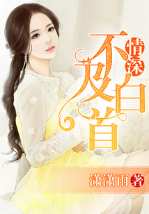 情深不及白首