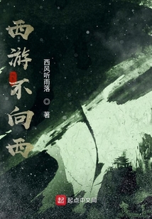 西游不向西
