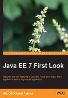 Java EE 7 First Look在線閱讀
