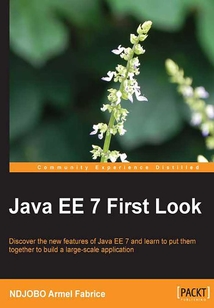 Java EE 7 First Look