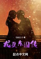 龙夏东圊传在线阅读