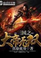 三国之大帝无双
