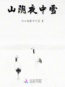 山陰夜中雪