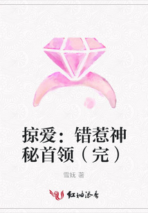 掠爱:错惹神秘首领(完)