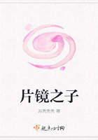 片镜之子