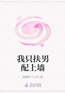 我只扶男配上墻