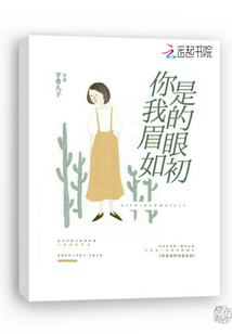你是我的眉眼如初