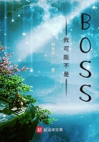 我可能不是BOSS在线阅读