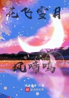 花飛雪月風啼鳴在線閱讀