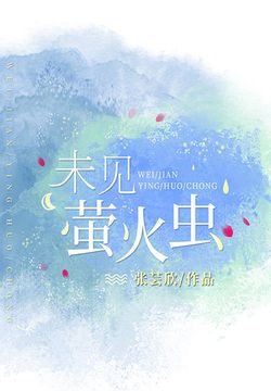 未见萤火虫 封面