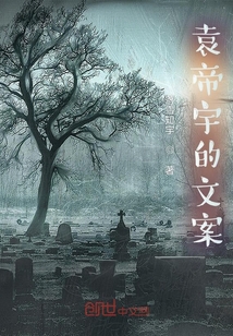 袁帝宇的文案