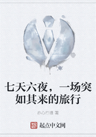 七天六夜,一场突如其来的旅行在线阅读