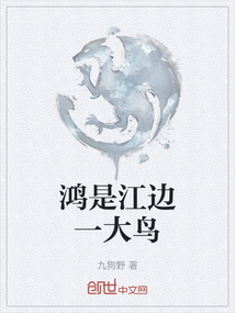 鴻是江邊一大鳥
