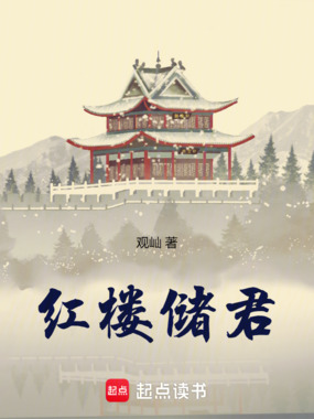 红楼储君在线阅读