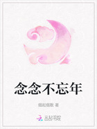 念念不忘年在线阅读