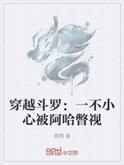 穿越斗罗:一不小心被阿哈瞥视在线阅读