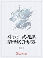 斗罗:武魂黑暗泽塔升华器在线阅读