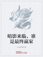 暗影来临,谁是最终赢家在线阅读