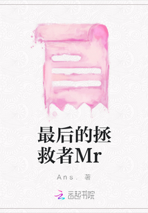 最后的拯救者Mr