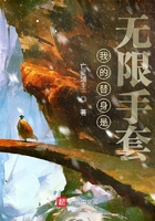 我的替身是无限手套