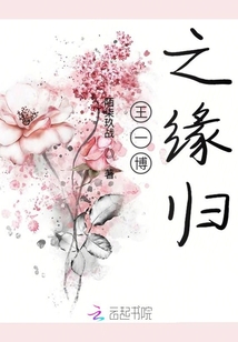 王一博之緣歸