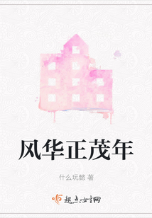 風華正茂年