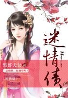 迷情債在線閱讀