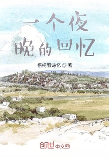 一個(gè)夜晚的回憶